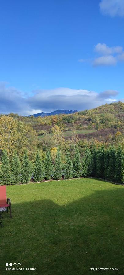 Willa View Cozia Călimăneşti Zewnętrze zdjęcie
